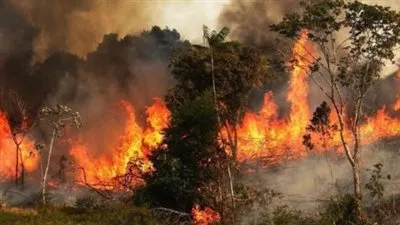 عاجل.. اليونان تشكر مصر لمساعدتها في عمليات إخماد حرائق الغابات