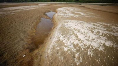 بسبب الحر الشديد.. بريطانيا تعلن حالة جفاف 