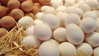 أسعار الدواجن والبيض اليوم السبت 13-8-2022 بمحافظة الشرقية 