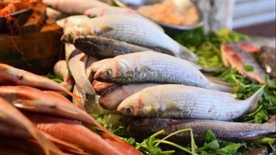 أسعار الأسماك اليوم الإثنين 15-8-2022