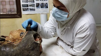 برعاية السياحة والآثار.. مشروع جديد يعرف الزائر ترميم المومياوات عمليًا