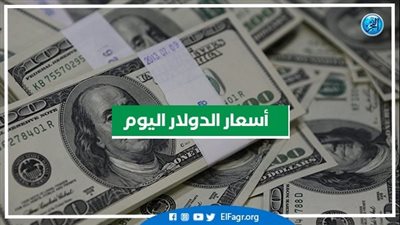  أسعار الدولار أمام الجنيه اليوم الثلاثاء 16 أغسطس 2022