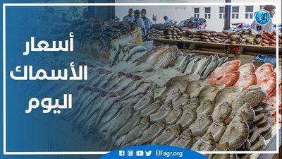 أسعار الأسماك اليوم الثلاثاء 16 اغسطس 2022 في سوق العبور