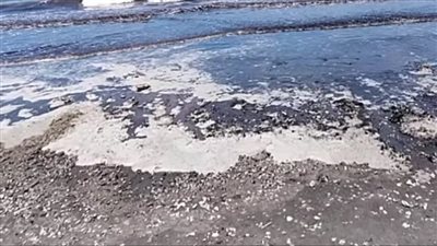  وجود بقع زيت ومخلفات سفن على شاطئ بورسعيد 