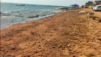 وزيرة البيئة: إنتهاء أعمال مكافحة التلوث الزيتى بشواطئ مدينة دهب