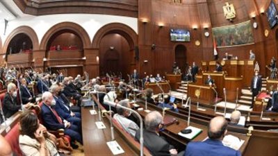 برلماني: قرار الحكومة بترشيد استهلاك الكهرباء يوفر العملة الصعبة من تصدير الغاز