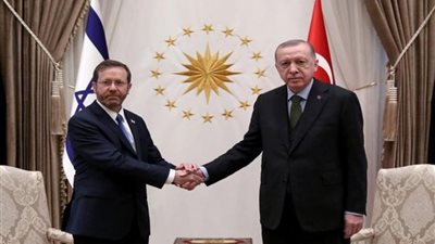 أردوغان والرئيس الإسرائيلي يبحثان تعزيز العلاقات المشتركة