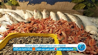 منع تداول أسماك البحر الأحمر فى المطاعم والمحال التجارية ومنع الصيد (مستندات)