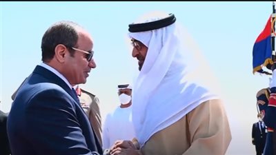 عضو بالشيوخ: مصر والإمارات من الدوال الفاعلة في المشهد السياسي العربي (فيديو)