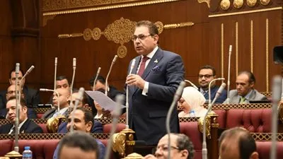 برلماني: الدولة تحمل على عاتقها طموحات 22 دولة أفريقية تحت خط الفقر 