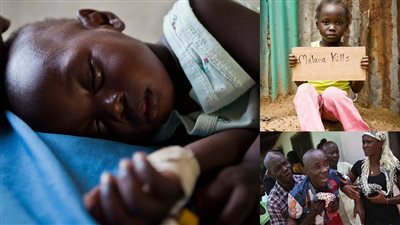 خبير يُحذر: ارتفاع الحرارة في أوروبا قد تؤدي إلى انتشار الملاريا (فيديو) 