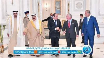 مصر العمود الفقري للدول العربية.. حفاوة بالغة بـ 