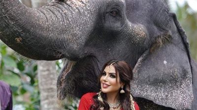 حليمه بولند تستعد لبرنامج رمضاني من الهند