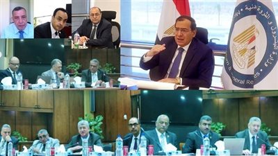 اللجنة العليا للمشروعات البترولية تبحث تنفيذ إنتاج الألواح الخشبية من قش الأرز