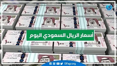 أسعار الريال السعودي مساء اليوم الثلاثاء 30 أغسطس في سوهاج