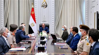 شاهد.. تفاصيل اجتماع الرئيس السيسي بشأن تطوير بحيرتي ناصر والمنزلة 