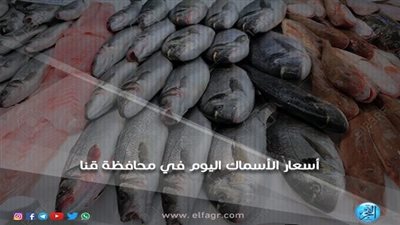 أسعار السمك اليوم الأربعاء 24-8-2022 في محافظة قنا