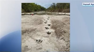 أستاذ دراسات بيئية يكشف كارثة تنتظر أوروبا (فيديو)