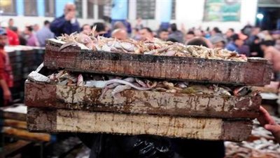  أستاذ سموم يكشف خطورة تناول 