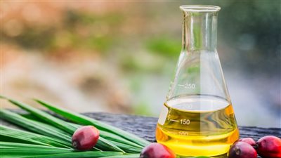 قريبا.. مصر تتحول إلى مركز تكرير وتوزيع زيت النخيل الخام الماليزي