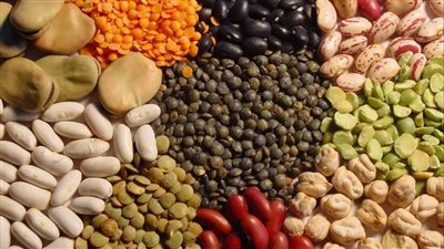 ننشر أسعار البقوليات اليوم السبت 27-8-2022 في الدقهلية 