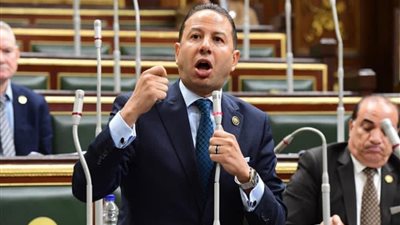 برلماني: ضخ دماء التغيير بالمؤسسات الاقتصادية يمهد لمرحلة جديدة بفكر مختلف