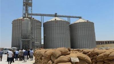 التموين: حجم الهدر من القمح كان يصل لـ 5 مليارات جنيه قبل مشروع الصوامع 