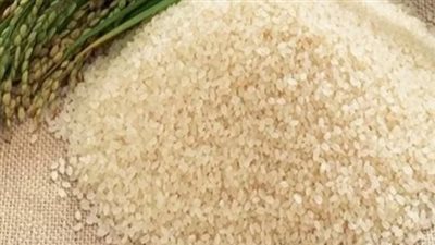 شعبة الأرز بالصناعات: لدينا 750 ألف طن أرز زيادة الموسم الحالي