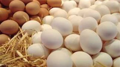 أسعار الدواجن والبيض اليوم الثلاثاء بمحافظة الشرقية