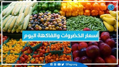 أسعار الخضروات اليوم الأربعاء 31-8-2022 في أسواق المنوفية