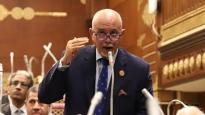 برلماني: الدولة تتحمل أعباء باهظة في سبيل توفير الحماية الاجتماعية