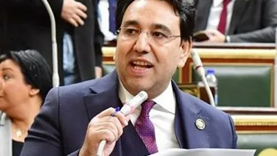 برلماني: الرئيس السيسي يولي ملف الحماية الاجتماعية اهتماما كبيرا 