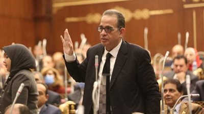 نائب بالشيوخ: الرئيس السيسي سند لكل المصريين.. ومحدودي الدخل فوق كل اعتبار