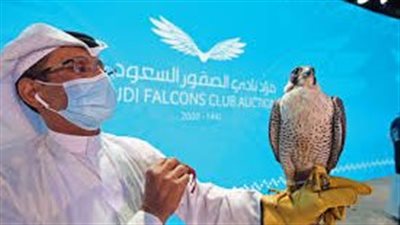 نادي الصقور يستضيف الجمعية الملكية الأردنية لحماية الطبيعة