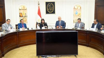 وزيرا الهجرة والإسكان يبحثان إتاحة فرص للاستثمار العقاري  للمصريين بالخارج