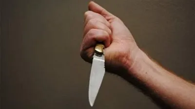 جنايات الزقازيق تنظر أولى جلسات محاكمة قاتل سلمى بهجت الأحد القادم