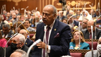 برلماني: التوجيه الرئاسية بزيادة الدعم الاستثنائي تعكس مراعاة الظروف الاقتصادية