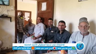 أبرز التوصيات الفنية لبدء زراعة المحاصيل الشتوية في كفر الشيخ