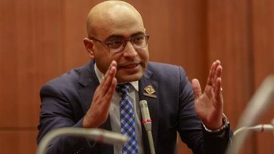 نائب التنسيقية: التوجيهات الرئاسية تؤكد حرص الدولة على توفير حياة كريمة للمواطنين