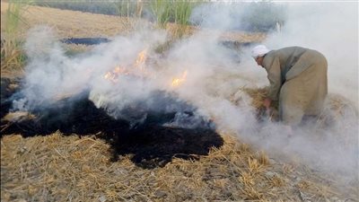 تعرف علي خطة الدولة للاستفادة من المخلفات الزراعية