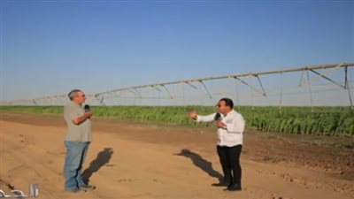 كيف أدار شباب مصر 31 ألف فدان شرق العوينات بعد انسحاب الخبراء الإنجليز