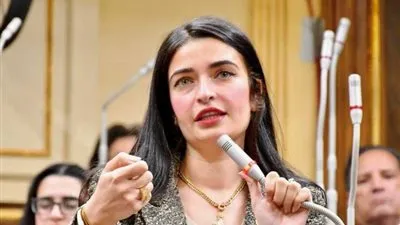 لمواجهة الفوضى.. عضو 