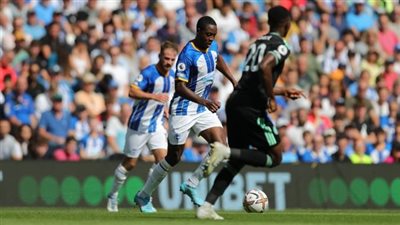 صراع إنجليزي شرس على نجم برايتون