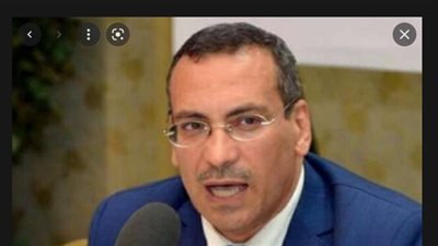 اتحاد المصريين في الخارج يكشف تفاصيل اجتماعه مع وزيرة الهجرة 