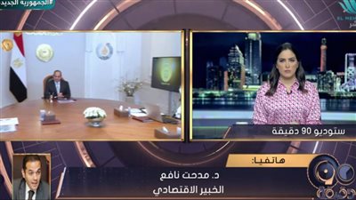 خبير: الصندوق السيادي المصري لعب دروًا في تعبئة مشروعات الطاقة الجديدة والمتجددة