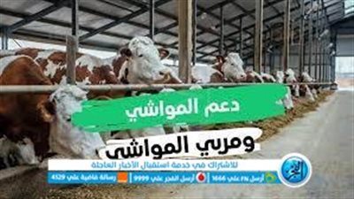 السعودية.. موعد نزول دعم المواشى 1444