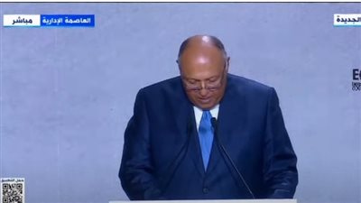 وزير الخارجية: مصر تولي أهمية كبيرة لمواجهة ظاهرة تغير المناخ (فيديو)