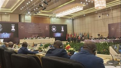 اجتماع القاهرة الدستوري الأفريقي: الاستخدام المنصف للموارد المشتركة أساس للتعاون