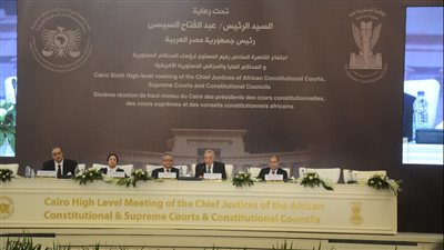 مدير مكتبة الإسكندرية: للدستور والقوانين دور كبير فى الحفاظ على الهوية والخصوصية الثقافية الأفريقية 