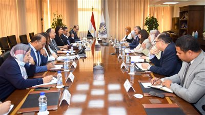 سها جندي تلتقي وزير المالية لبحث وضع محفزات للمصريين بالخارج على الاستثمار داخل البلاد